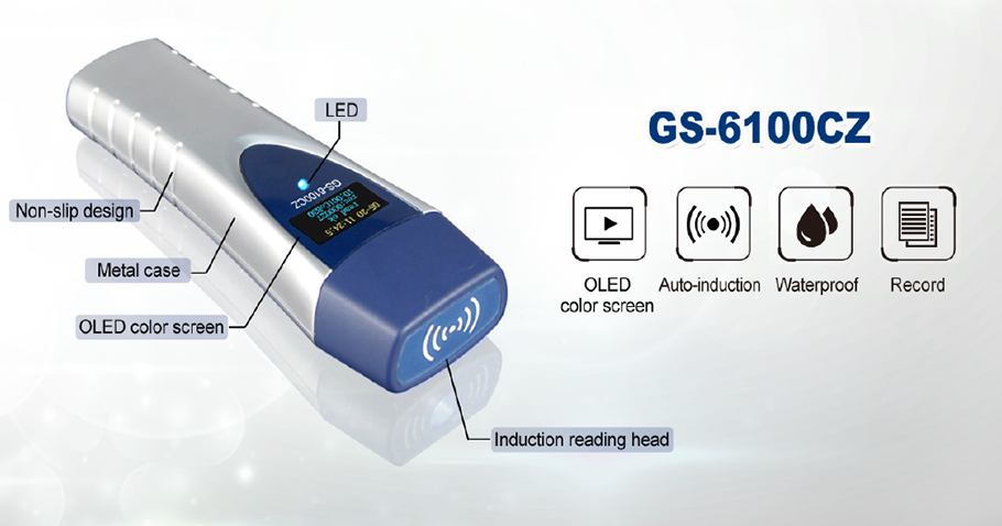 Rechargeable Battery Guard Patrol System with OLED GS6100CZ