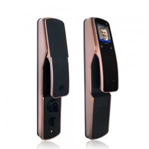 Biometric Smart Lock